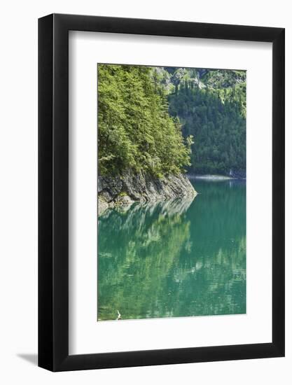 Scenery, Gosausee, mountain lake, spring-David & Micha Sheldon-Framed Photographic Print