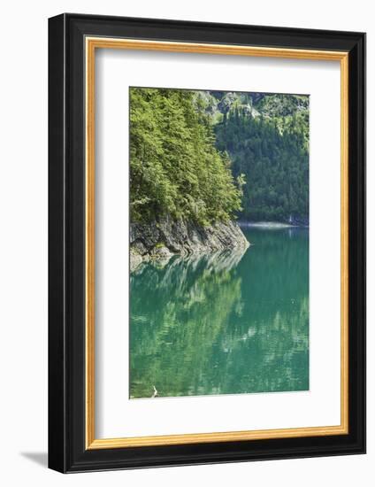 Scenery, Gosausee, mountain lake, spring-David & Micha Sheldon-Framed Photographic Print