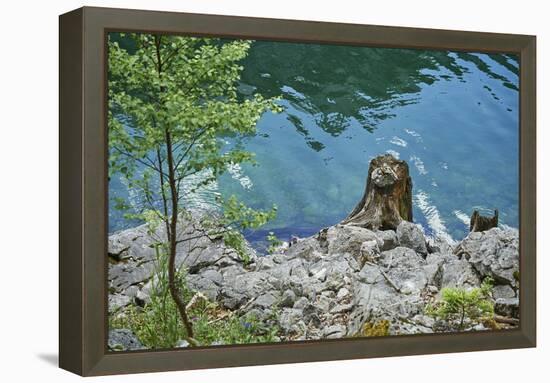 Scenery, Gosausee, mountain lake, spring-David & Micha Sheldon-Framed Premier Image Canvas