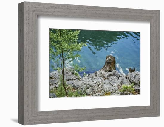 Scenery, Gosausee, mountain lake, spring-David & Micha Sheldon-Framed Photographic Print