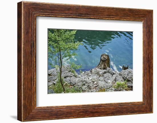 Scenery, Gosausee, mountain lake, spring-David & Micha Sheldon-Framed Photographic Print