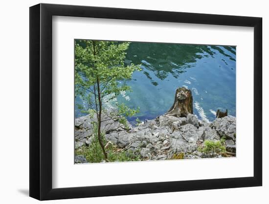 Scenery, Gosausee, mountain lake, spring-David & Micha Sheldon-Framed Photographic Print