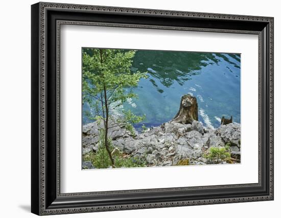 Scenery, Gosausee, mountain lake, spring-David & Micha Sheldon-Framed Photographic Print