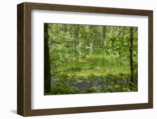 Scenery, Gosausee, mountain lake, spring-David & Micha Sheldon-Framed Photographic Print