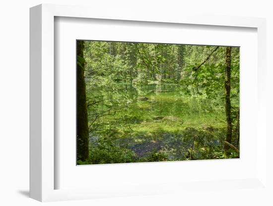 Scenery, Gosausee, mountain lake, spring-David & Micha Sheldon-Framed Photographic Print