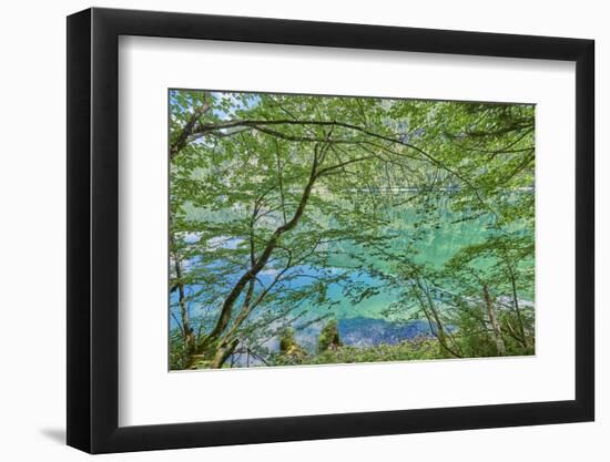 Scenery, Gosausee, mountain lake, spring-David & Micha Sheldon-Framed Photographic Print