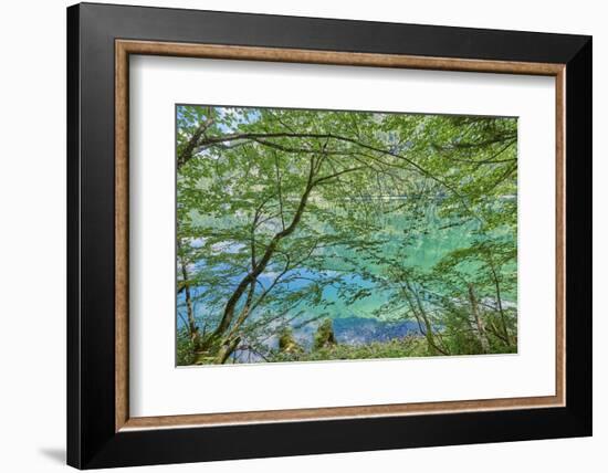 Scenery, Gosausee, mountain lake, spring-David & Micha Sheldon-Framed Photographic Print