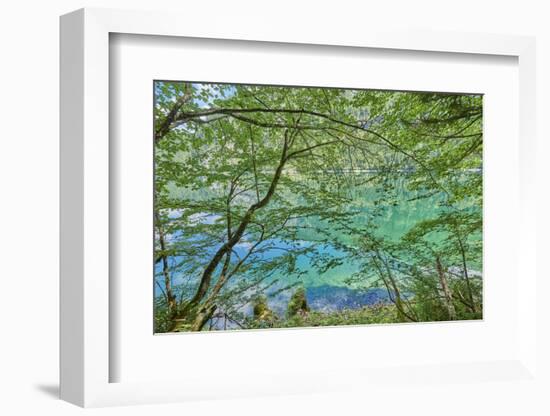 Scenery, Gosausee, mountain lake, spring-David & Micha Sheldon-Framed Photographic Print