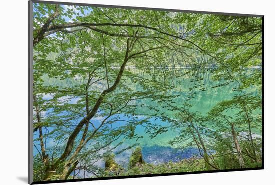 Scenery, Gosausee, mountain lake, spring-David & Micha Sheldon-Mounted Photographic Print