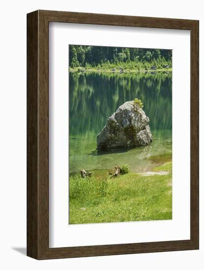 Scenery, Gosausee, mountain lake, spring-David & Micha Sheldon-Framed Photographic Print