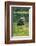 Scenery, Gosausee, mountain lake, spring-David & Micha Sheldon-Framed Photographic Print