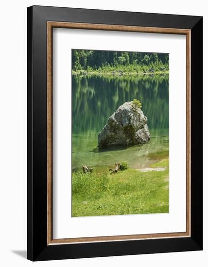 Scenery, Gosausee, mountain lake, spring-David & Micha Sheldon-Framed Photographic Print