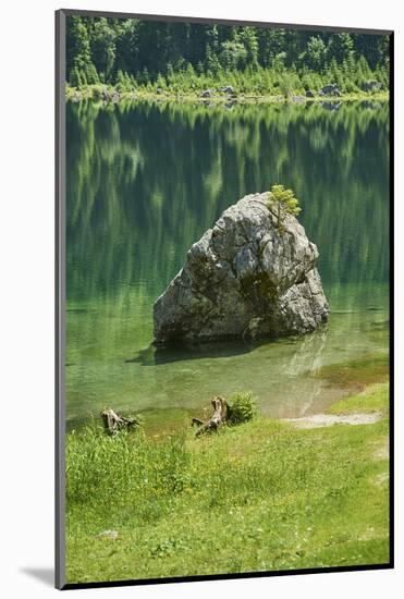 Scenery, Gosausee, mountain lake, spring-David & Micha Sheldon-Mounted Photographic Print