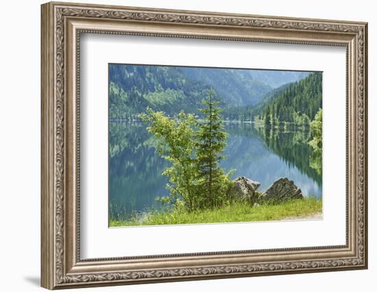 Scenery, Gosausee, mountain lake, spring-David & Micha Sheldon-Framed Photographic Print