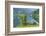 Scenery, Gosausee, mountain lake, spring-David & Micha Sheldon-Framed Photographic Print