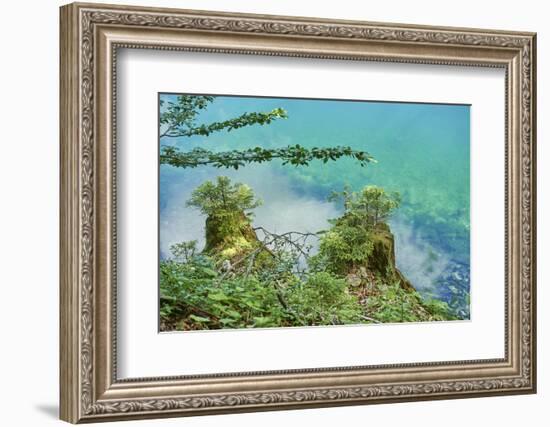 Scenery, Gosausee, mountain lake, spring-David & Micha Sheldon-Framed Photographic Print