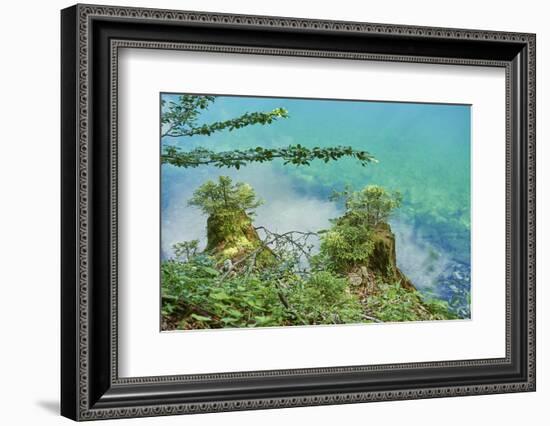 Scenery, Gosausee, mountain lake, spring-David & Micha Sheldon-Framed Photographic Print