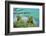 Scenery, Gosausee, mountain lake, spring-David & Micha Sheldon-Framed Photographic Print