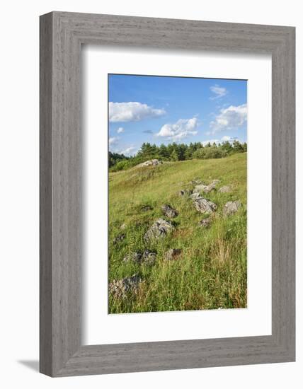 Scenery, heaven, meadow, hill, wood, stones-David & Micha Sheldon-Framed Photographic Print