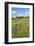 Scenery, heaven, meadow, hill, wood, stones-David & Micha Sheldon-Framed Photographic Print