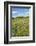 Scenery, heaven, meadow, hill, wood, stones-David & Micha Sheldon-Framed Photographic Print