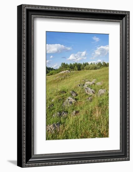 Scenery, heaven, meadow, hill, wood, stones-David & Micha Sheldon-Framed Photographic Print