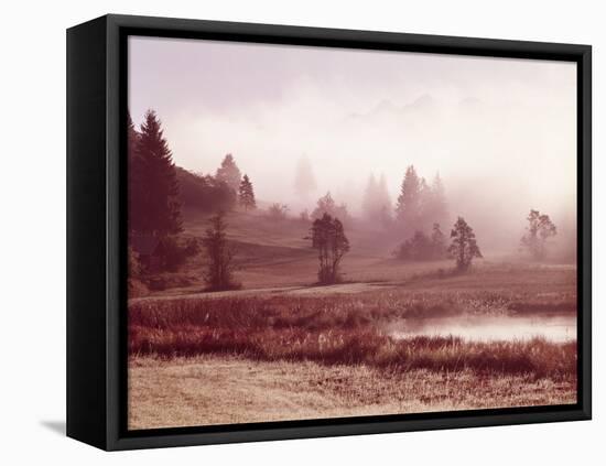 Scenery, Lake, Morning Fog-Thonig-Framed Premier Image Canvas