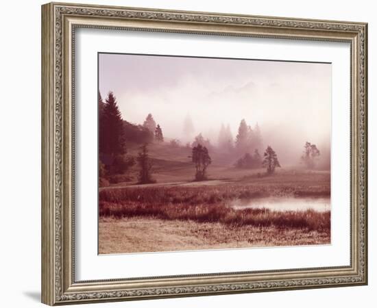 Scenery, Lake, Morning Fog-Thonig-Framed Photographic Print