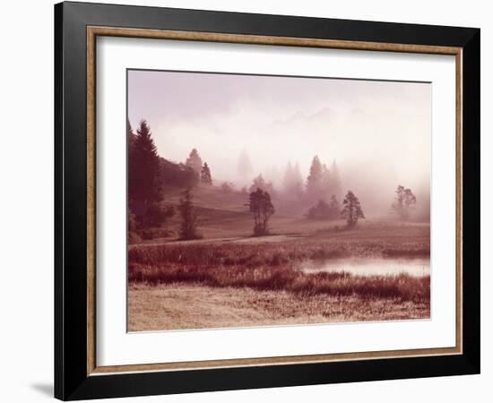 Scenery, Lake, Morning Fog-Thonig-Framed Photographic Print