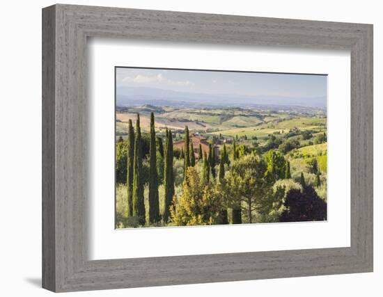 Scenery Near to Montepulciano, Val D'Orcia, UNESCO World Heritage Site, Tuscany, Italy, Europe-Julian Elliott-Framed Photographic Print