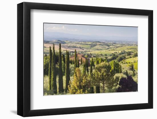 Scenery Near to Montepulciano, Val D'Orcia, UNESCO World Heritage Site, Tuscany, Italy, Europe-Julian Elliott-Framed Photographic Print