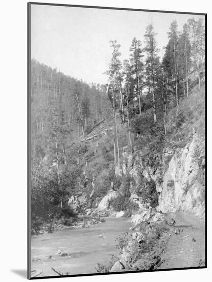 Scenery on the Deadwood Road to Sturgis Photograph - South Dakota-Lantern Press-Mounted Art Print