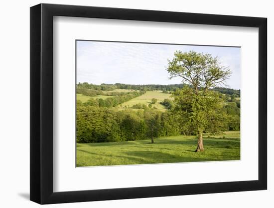 Scenery Vogelsberg, Hessen, Germany-Ernst Wrba-Framed Photographic Print