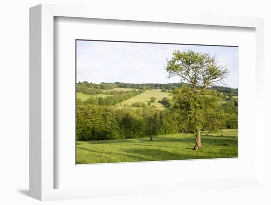 Scenery Vogelsberg, Hessen, Germany-Ernst Wrba-Framed Photographic Print