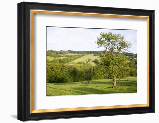 Scenery Vogelsberg, Hessen, Germany-Ernst Wrba-Framed Photographic Print