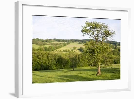 Scenery Vogelsberg, Hessen, Germany-Ernst Wrba-Framed Photographic Print