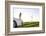 Scenery, Woman, Car, Wind Turbines, Wind Power Station-Axel Schmies-Framed Photographic Print