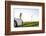 Scenery, Woman, Car, Wind Turbines, Wind Power Station-Axel Schmies-Framed Photographic Print