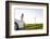 Scenery, Woman, Car, Wind Turbines, Wind Power Station-Axel Schmies-Framed Photographic Print