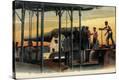 Stretched Canvas Print