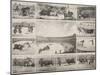 Scènes de tauromachie en Espagne-null-Mounted Giclee Print