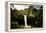 Scenes from around the Big Island of Hawaii-Daniel Kuras-Framed Premier Image Canvas