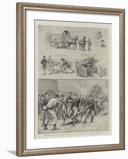 Scenes from the Cattle Show at the Agricultural Hall, Islington-S.t. Dadd-Framed Giclee Print