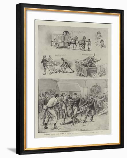 Scenes from the Cattle Show at the Agricultural Hall, Islington-S.t. Dadd-Framed Giclee Print