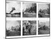 Photographic Print