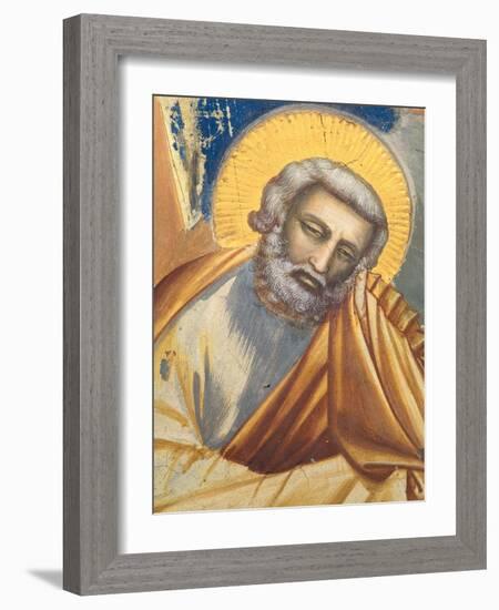 Scenes From the Life of Christ Nativity Birth of Jesus-Giotto di Bondone-Framed Giclee Print
