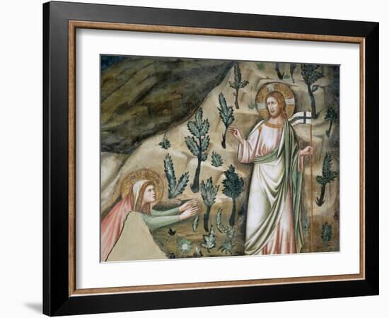 Scenes from the Life of Mary Magdalen: Noli Me Tangere-Pietro Cavallini-Framed Giclee Print