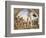 Scenes from the Life of Saint Philip: Crucifixion of the Saint-Filippino Lippi-Framed Giclee Print