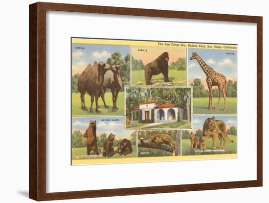 Scenes of Animals from Zoo, San Diego, California-null-Framed Art Print