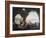 Scenes of Everyday Life in a Cave in Posillipo, Near Naples-Pietro Fragiacomo-Framed Giclee Print